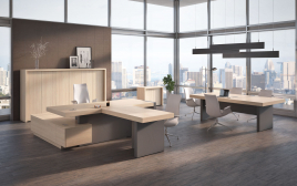 Кабинет руководителя ERA