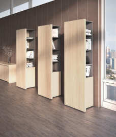 Кабинет руководителя ERA