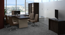 Кабинет руководителя ERA