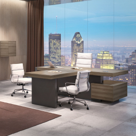 Кабинет руководителя ERA