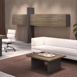 Кабинет руководителя ERA