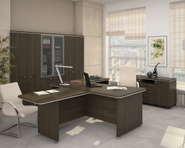 Кабинет руководителя Focus Director