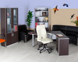 Кабинеты руководителя Practic