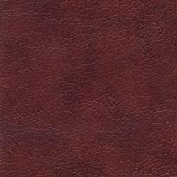 Коричневый PU10