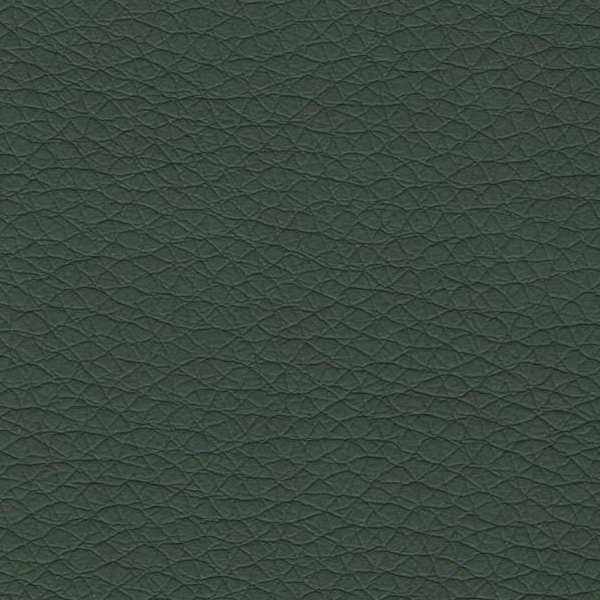 перечная мята ta 601