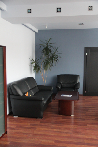 Проект для компании «Рус Гидро НИИЭС». Фото 1